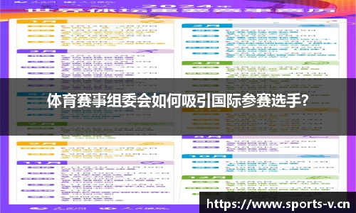 v体育官方网站