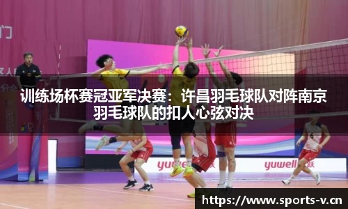 v体育官网
